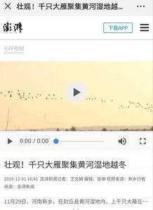 封丘在线视频,探寻封丘历史文化与风土人情的视觉之旅